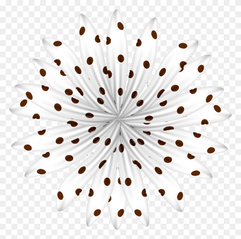 1023x1015 White Dotted Flower Photo By Lee1959 Circle, Pattern, Plant, Floral Design HD PNG Download