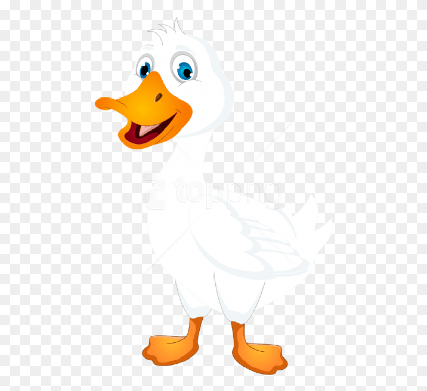473x710 White Duck Cartoon Clipart Photo Duck Clipart White, Animal, Bird, Person HD PNG Download