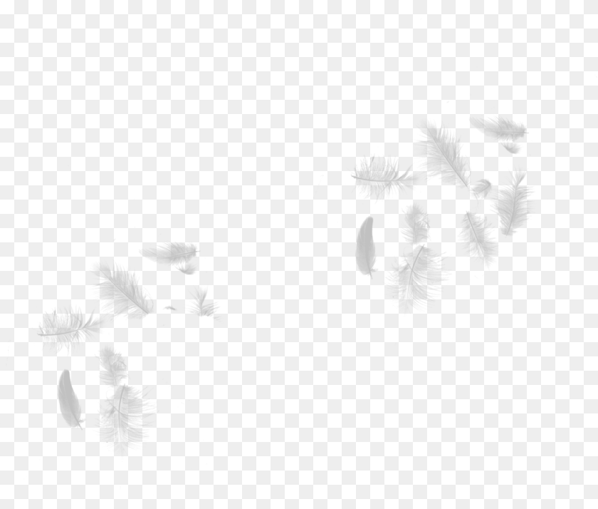 White Falling Feathers, Fireworks PNG