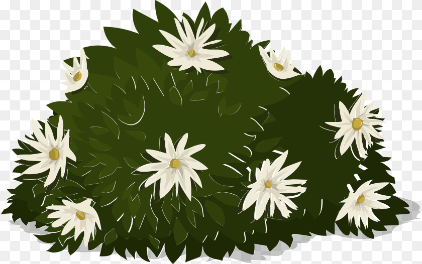 1920x1203 White Flower Bush Clipart, Daisy, Plant, Lily, Pond Lily Sticker PNG