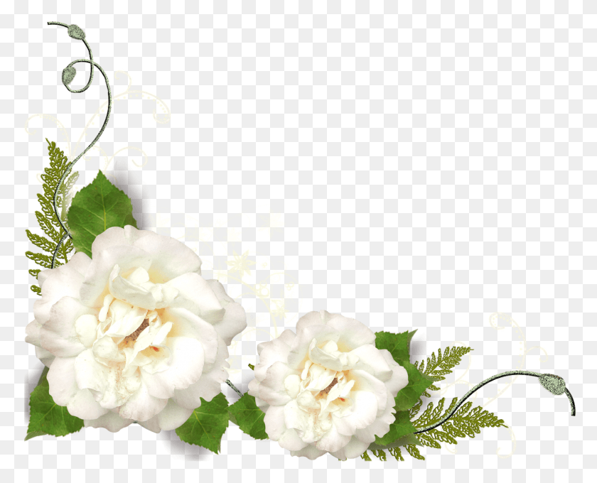 1600x1272 White Flower Corner, Plant, Flower, Blossom HD PNG Download