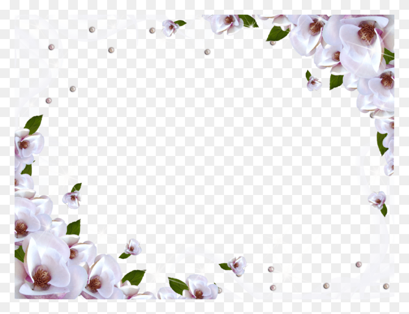 1024x767 White Flower Frame Image Flower Frame Transparent, Plant, Flower, Blossom HD PNG Download