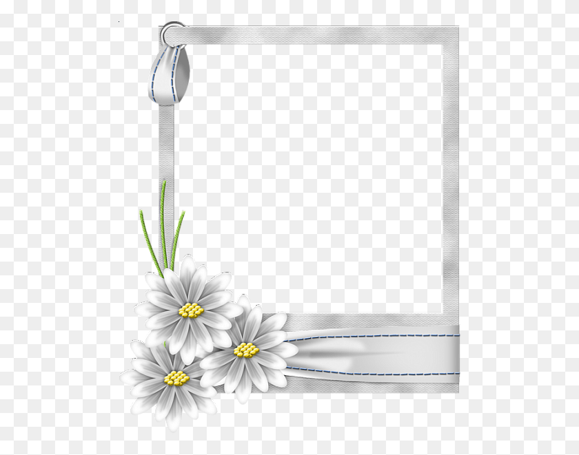 498x601 Белая Цветочная Рамка Прозрачная Белая Цветочная Рамка, Растение, Ромашка, Цветок Png Скачать