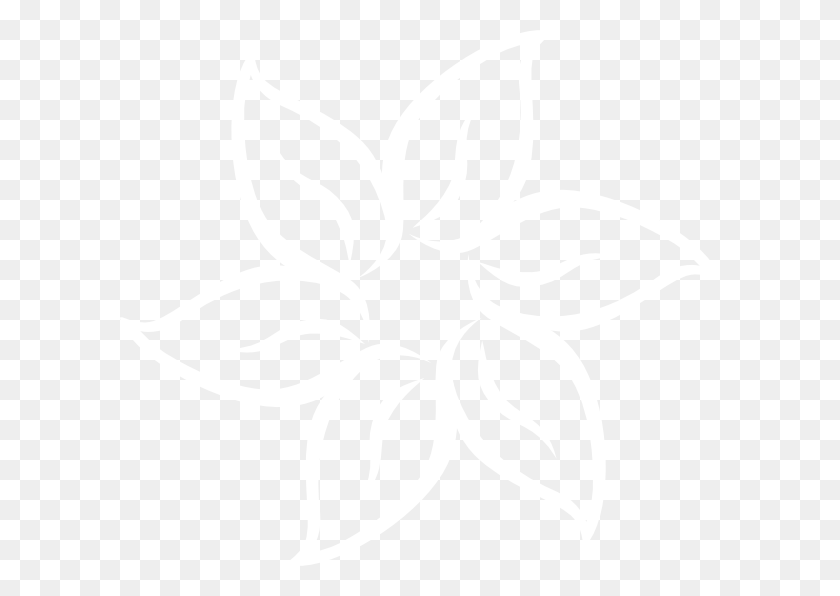 600x536 White Flower Swirl, White, Texture, White Board HD PNG Download