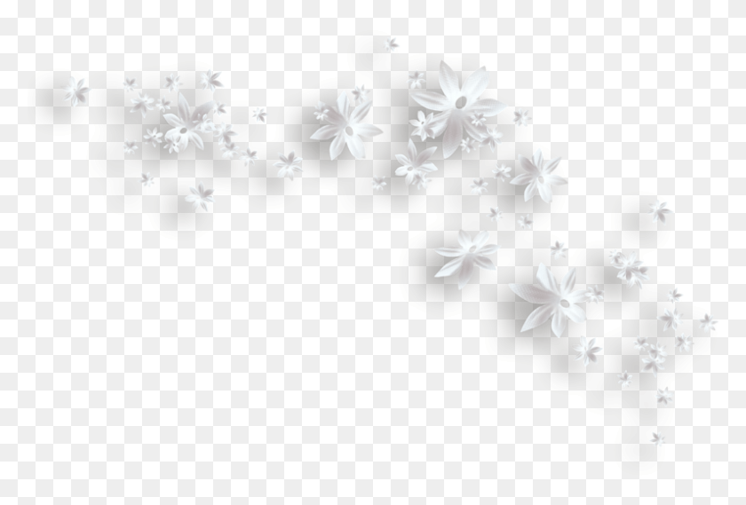 795x519 White Flowers Decorative Clipart Flor Branca Em, Flower, Plant, Blossom HD PNG Download