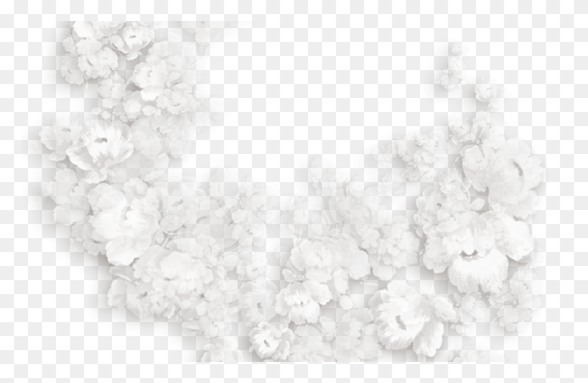 1368x855 White Flowers Decorative Clipart Pozadia A Ormovania, Plant, Flower, Blossom HD PNG Download