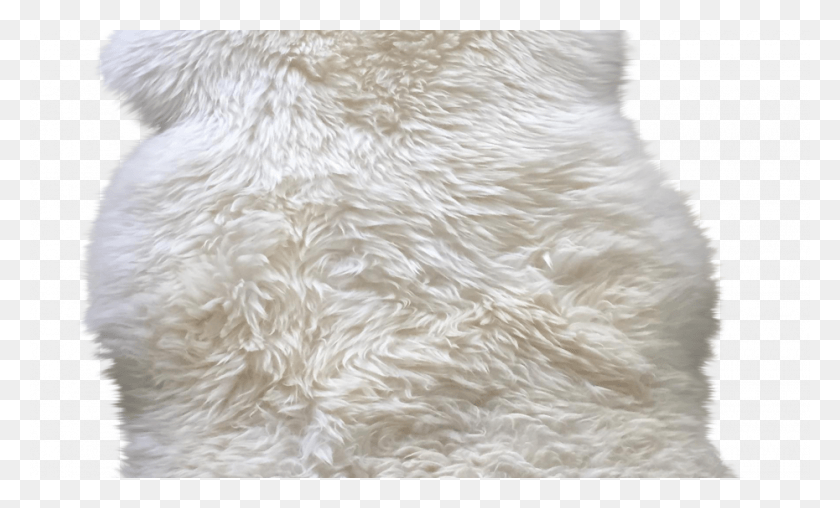 930x535 White Furry Rug For Free On Ya Webdesign White Fur Rug, Blanket, Texture, Dog HD PNG Download