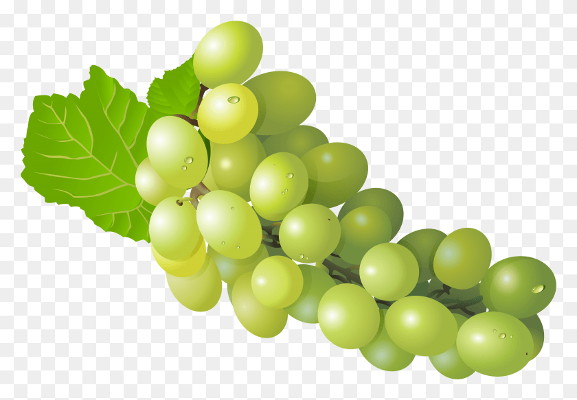 5785x3883 White Grape, Grapes, Fruit, Plant HD PNG Download