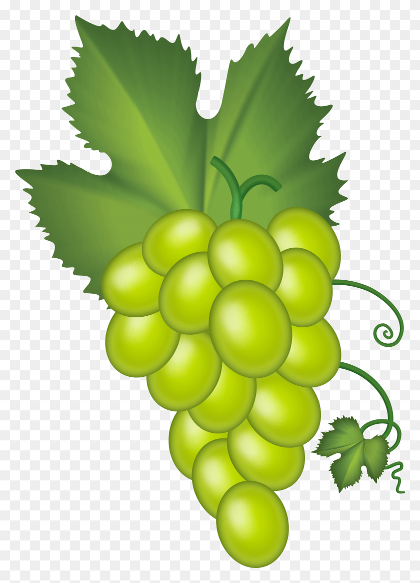Виноград мультяшный