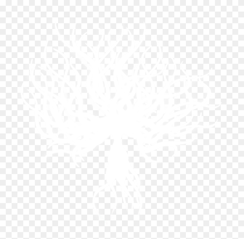 757x764 White Lady Full Hollow Knight White Lady, Bird, Animal HD PNG Download