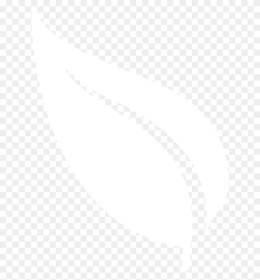 638x844 White Leaf Icon, Plant, Produce, Food HD PNG Download