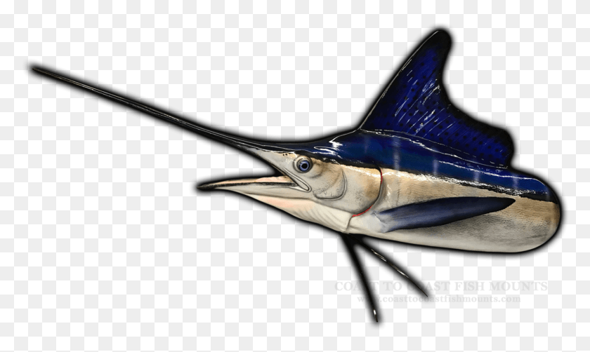780x442 White Marlin Fish Mount Long Nose Gar, Swordfish, Sea Life, Animal HD PNG Download