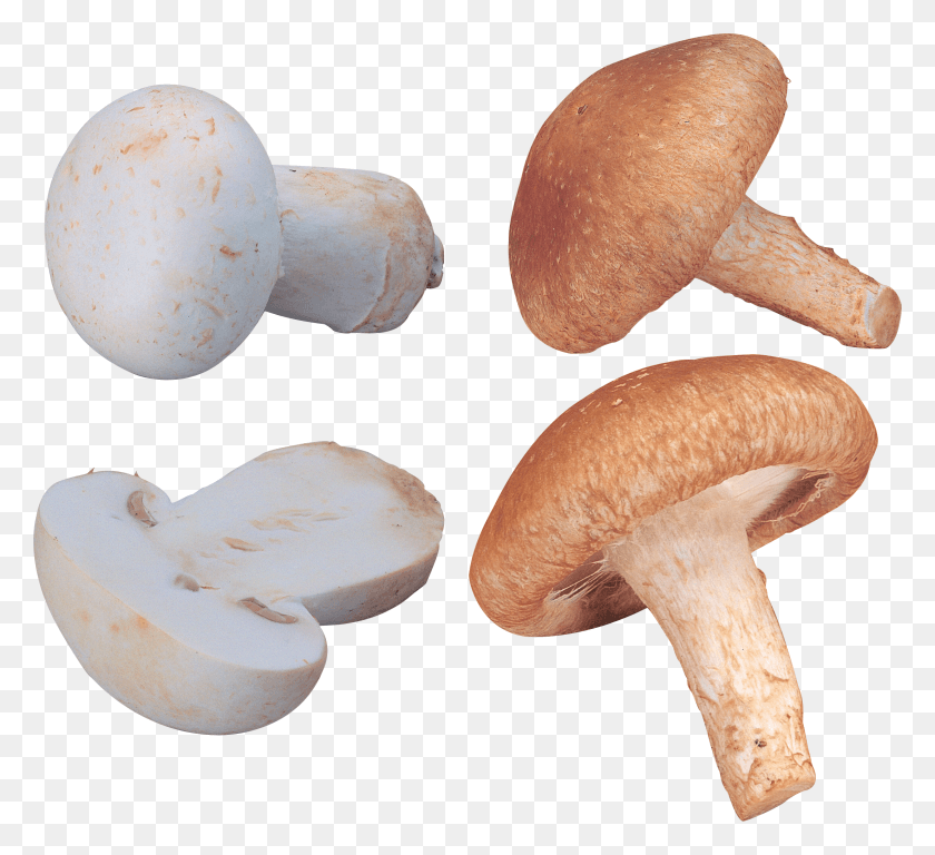 2207x2006 White Mushrooms Stuffed Mushrooms Stuff Mushrooms Mushroom HD PNG Download