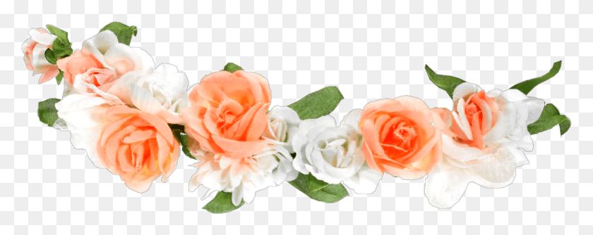2112x744 Descargar Png Corona De Flor De Naranja Blanca U Puede Usar Corona De Corazón Dibujo De Corona De Flor, Rosa, Planta, Flor Hd Png