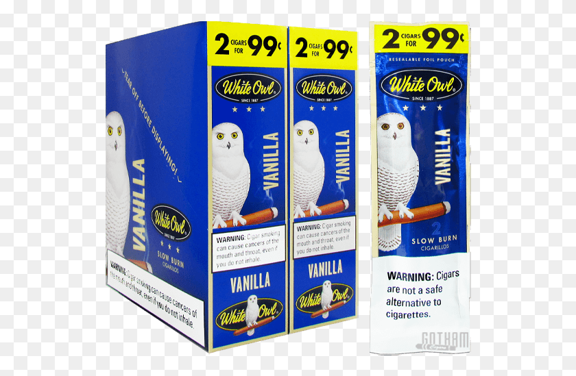 534x489 White Owl Dutch, Bird, Animal, Advertisement HD PNG Download