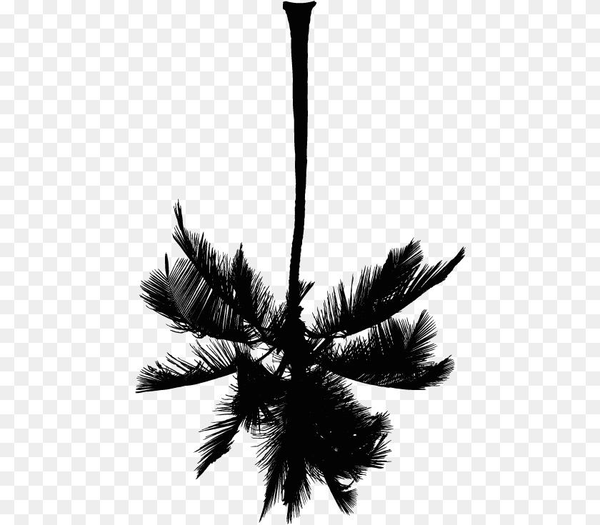 464x735 White Palm Tree, Chandelier, Lamp, Cross, Symbol Transparent PNG