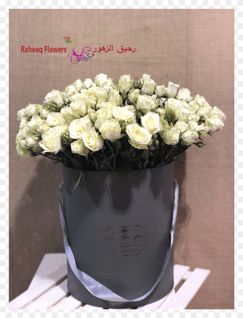 1239x1651 Белые Жемчужные Розы Садовые Розы, Растение, Букет Цветов, Цветочная Композиция Hd Png Скачать