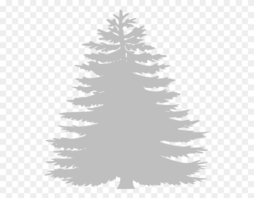 546x596 White Pine Tree Clip Art, Tree, Plant, Ornament HD PNG Download
