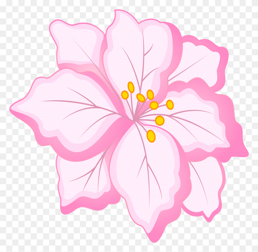 6831x6665 White Pink Flower Clip Art Image Pink And White Flowers, Hibiscus, Flower, Plant HD PNG Download