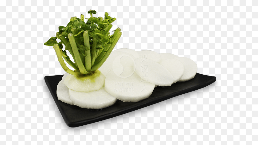 593x412 White Radish Daikon, Plant, Vegetable, Food HD PNG Download