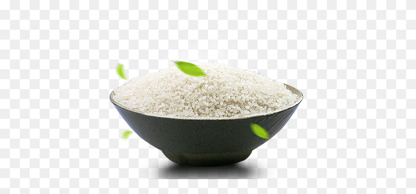 401x332 White Rice Transparent Image Superfood, Plant, Vegetable, Food HD PNG Download