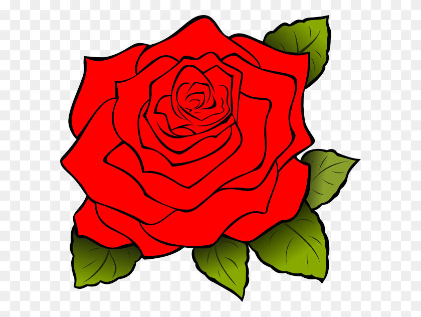 600x572 Белая Роза, Роза, Цветок, Растение Hd Png Скачать