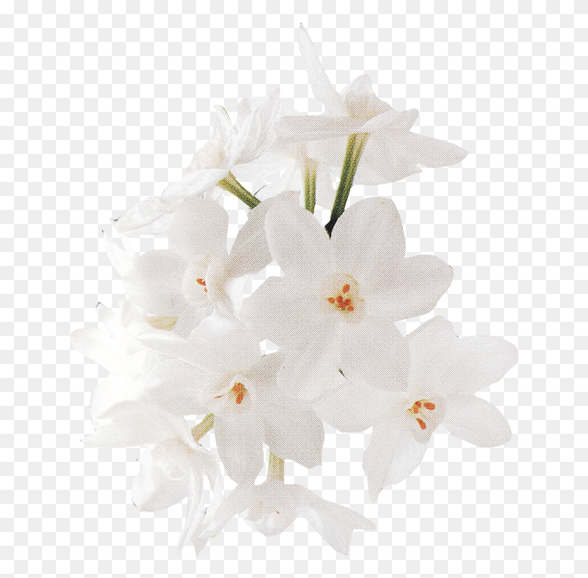 643x766 Белая Роза Искусственный Цветок, Растение, Цветок, Лепесток Hd Png Скачать