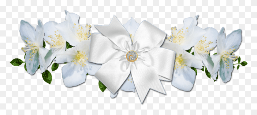 879x359 White Rose Border Picture Royalty Free Belie Cveti Foto, Cushion, Napkin, Tie HD PNG Download