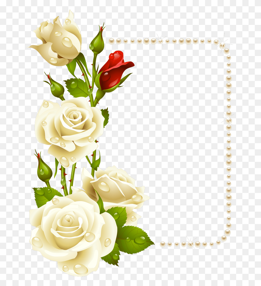 670x859 White Roses Corner Border, Rose, Flower, Plant HD PNG Download