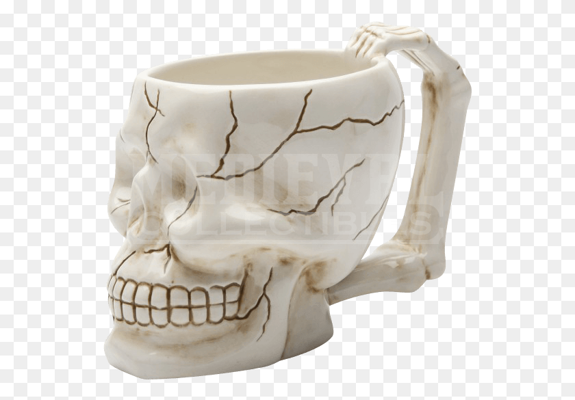 539x525 White Skull, Porcelain, Pottery HD PNG Download