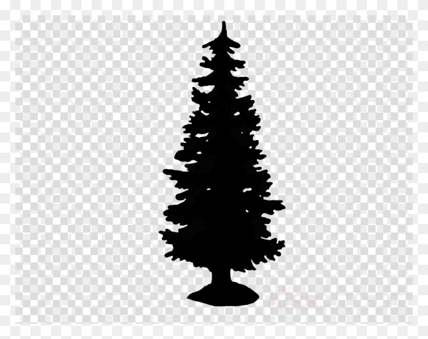900x700 White Spruce Silhouette Clipart Fir Pine Christmas Tori Vega From Victorious, Tree, Plant HD PNG Download