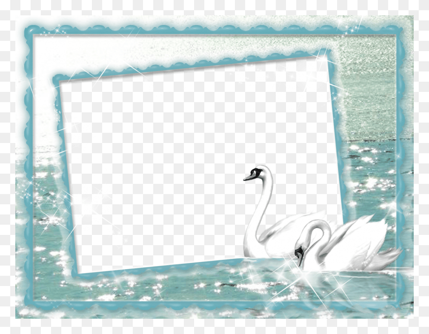 1280x975 White Swan At Lake Photo Frame Duck Frames Transparent Background, Bird, Animal, Waterfowl HD PNG Download