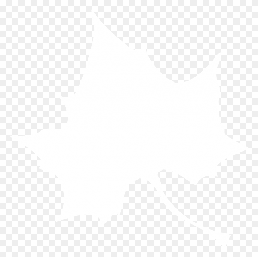 1030x1025 Белый Лист Платана Логотип Джонса Хопкинса Белый, Растение, Человек, Человек Hd Png Скачать
