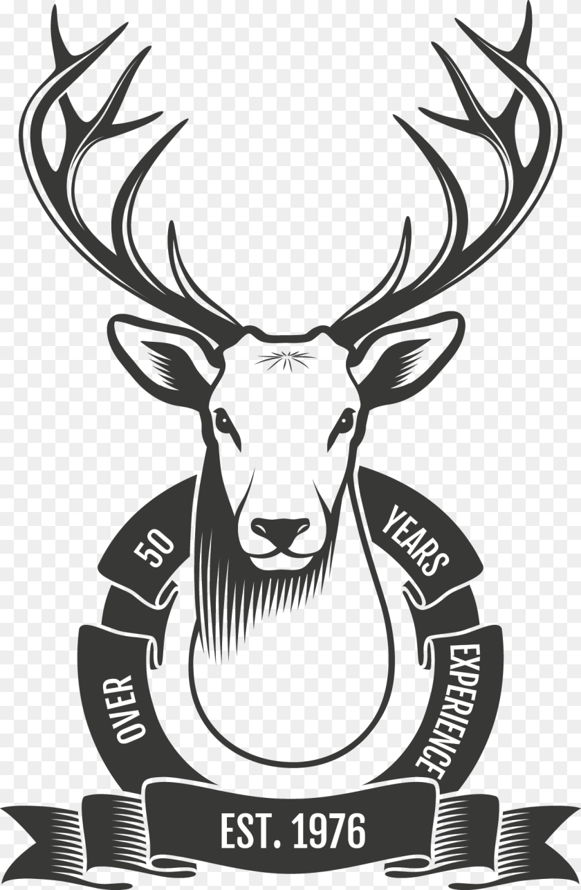 1206x1846 White Tail Deer Mount Graphic With A Ribbon Stating Venado Cola Blanca Dibujo, Animal, Mammal, Wildlife, Person PNG