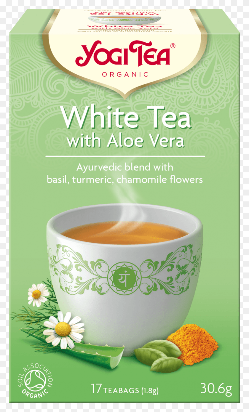 869x1483 White Tea Aloe Vera, Vase, Jar, Pottery HD PNG Download