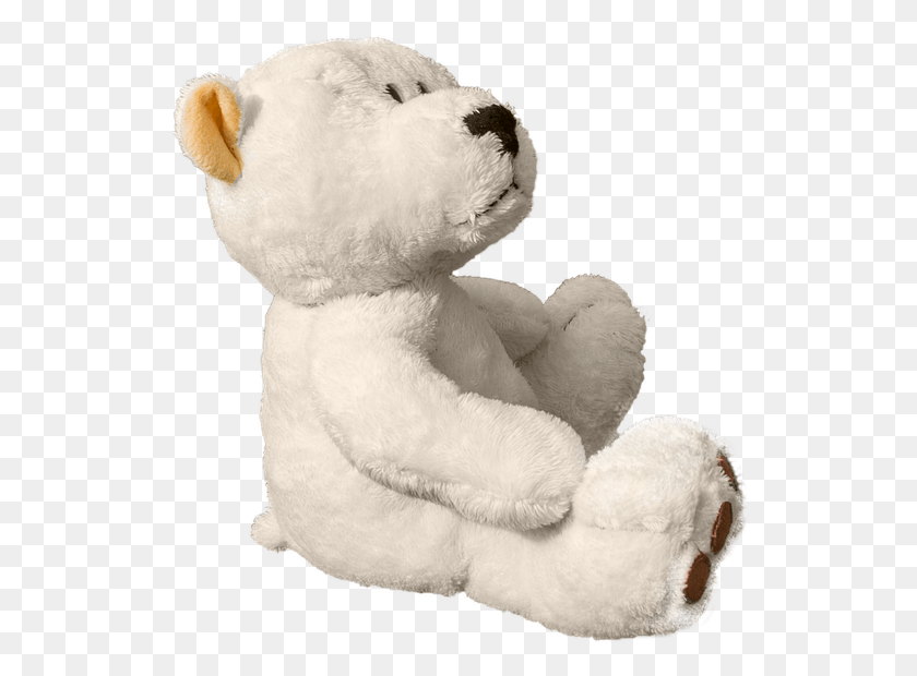 532x560 White Teddy Bear Teddy Bear, Plush, Toy HD PNG Download