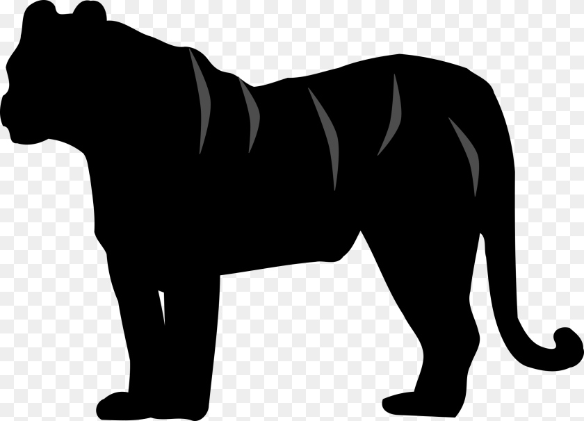 2500x1804 White Tiger Felidae Silhouette Cat Silhouette Tiger Clipart Black And White, Electronics, Hardware, Blade, Dagger PNG