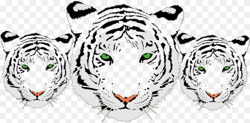 White Tiger Head, Stencil, Electronics, Face, Hardware Clipart PNG