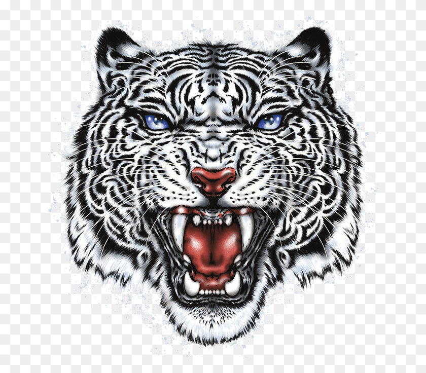 653x676 White Tiger Head Roar, Wildlife, Mammal, Animal HD PNG Download