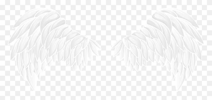 7893x3403 White Wings Transparent, Animal, Bird, Eagle HD PNG Download
