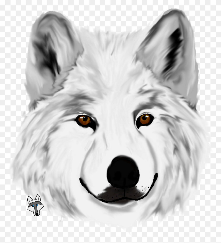 1978x2187 White Wolf Designed By P Canis Lupus Tundrarum, Mammal, Animal, Dog HD PNG Download