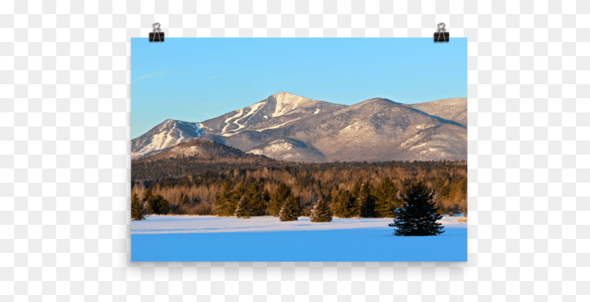 515x370 Whiteface Mountain, Árbol, Planta, La Naturaleza Hd Png