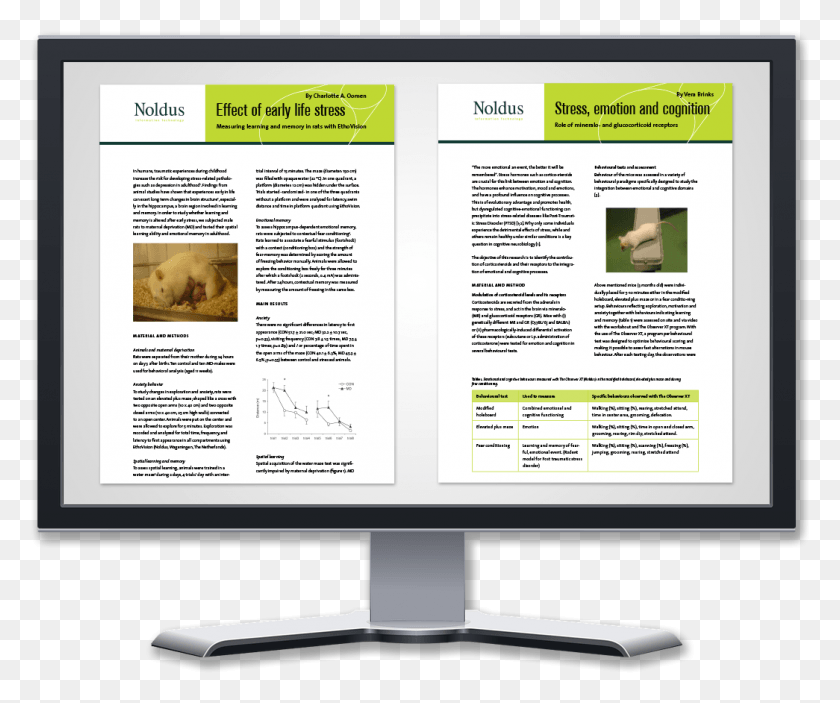 1045x862 Whitepaper Display 2papers Stressanxiety Online Advertising, Screen, Electronics, Monitor HD PNG Download