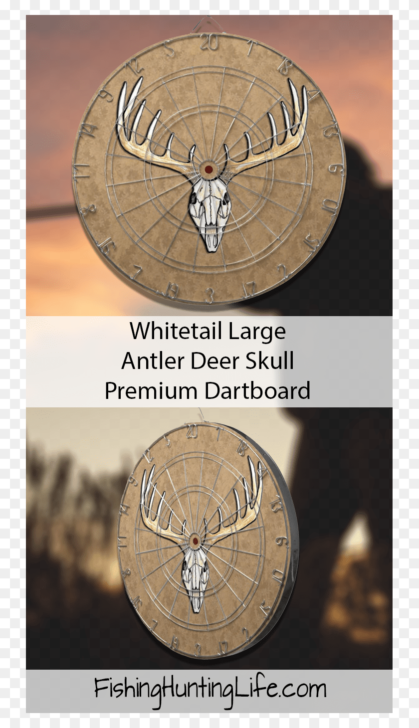735x1400 Whitetail Deer Hunting Dartboard Circle, Clock Tower, Tower, Architecture Descargar Hd Png