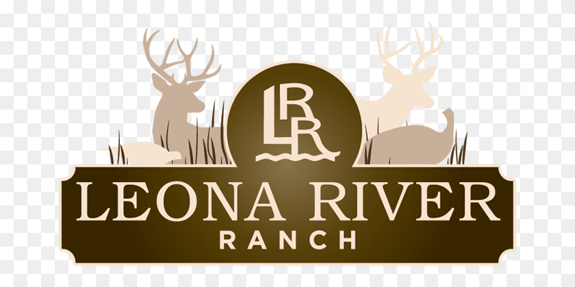 671x359 Дизайн Логотипа Whitetail Hunting Ranch Дизайн Логотипа Ранчо, Лось, Олень, Дикая Природа Hd Png Скачать