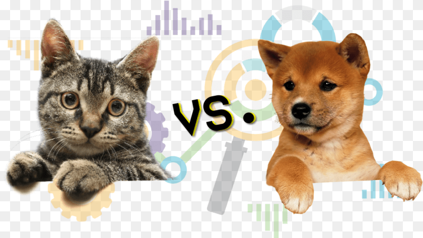 Who Does The Internet Love More Cat Transparent, Animal, Canine, Dog, Mammal PNG