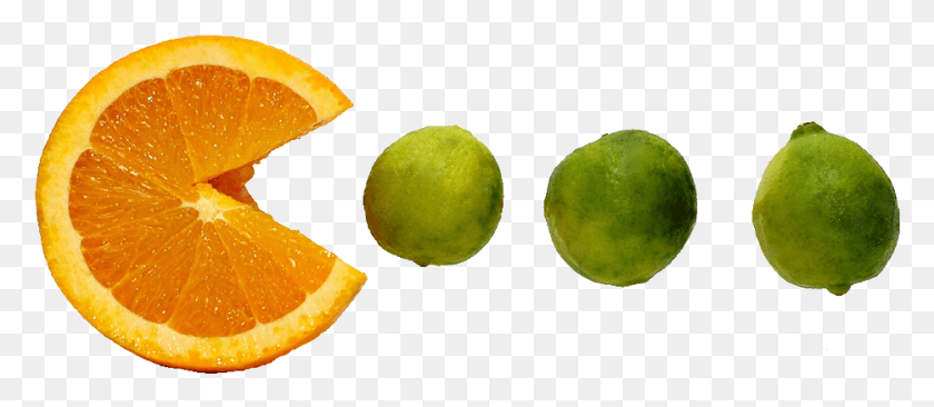 934x367 Who Doesn39t Love A Delicious And Juicy Orange As A Food White, Citrus Fruit, Fruit, Plant HD PNG Download