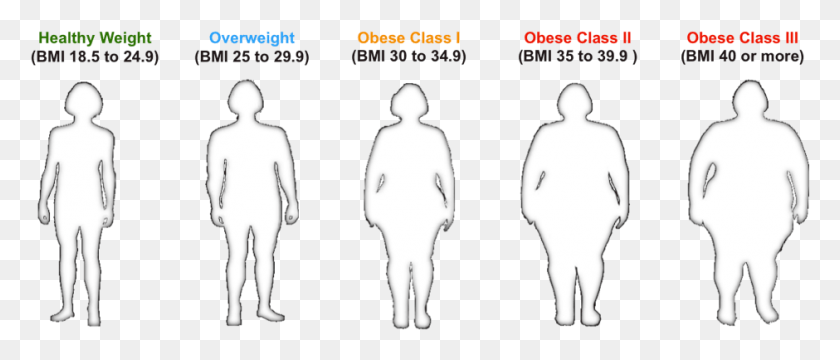 940x362 Who Is Affected Body Mass Index, Person, Human, Plot HD PNG Download