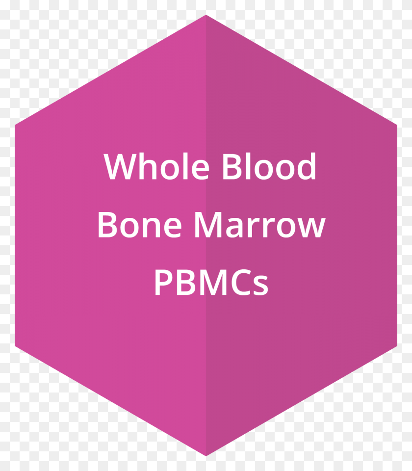 1299x1500 Whole Blood Bone Marrow Pbmcs Graphic Design, Purple, Triangle, Word HD PNG Download