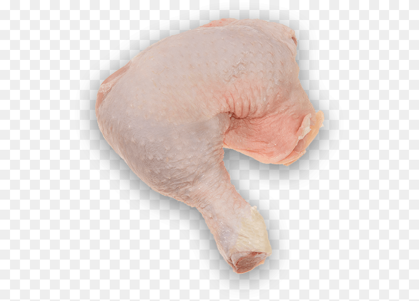 550x603 Whole Chicken Leg Full Chicken Leg, Animal, Bird, Fowl, Poultry Transparent PNG